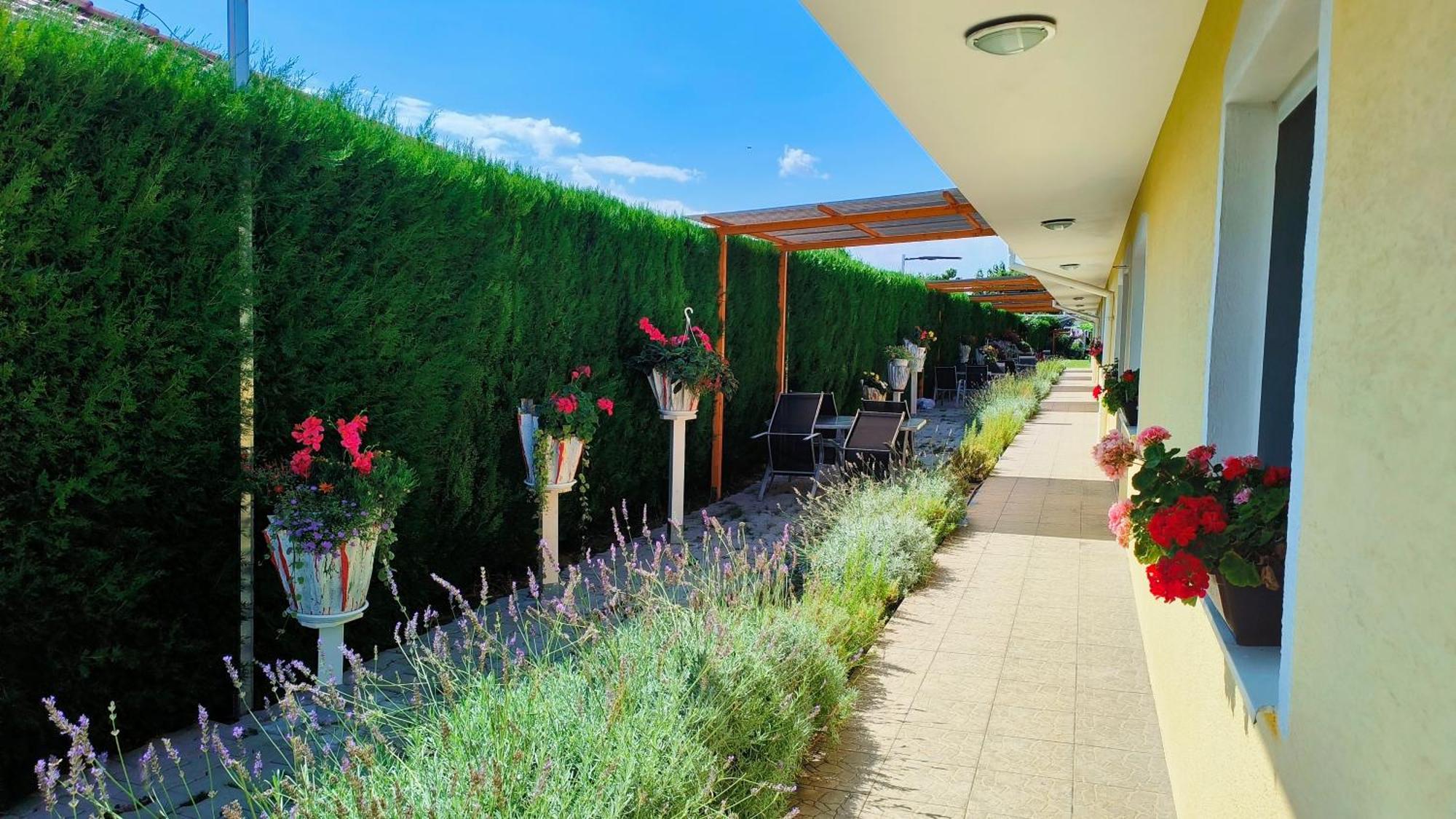 Cozy Room With Garden In Bratislava Exterior photo